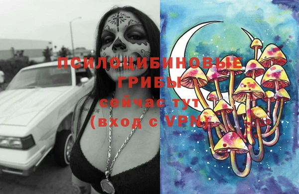 соль курить ск Сосновка