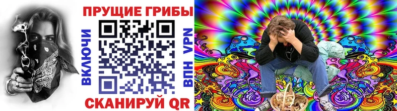 Псилоцибиновые грибы Cubensis  наркотики  мориарти телеграм  Санкт-Петербург 