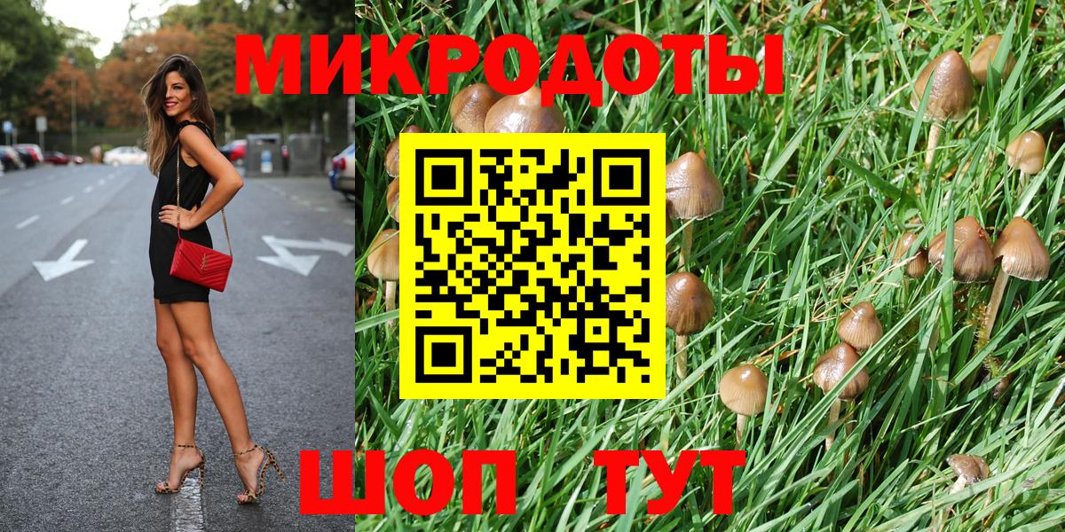 Галлюциногенные грибы Psilocybe  Псилоцибиновые грибы ЛСД  Россия  Вход с VPN 