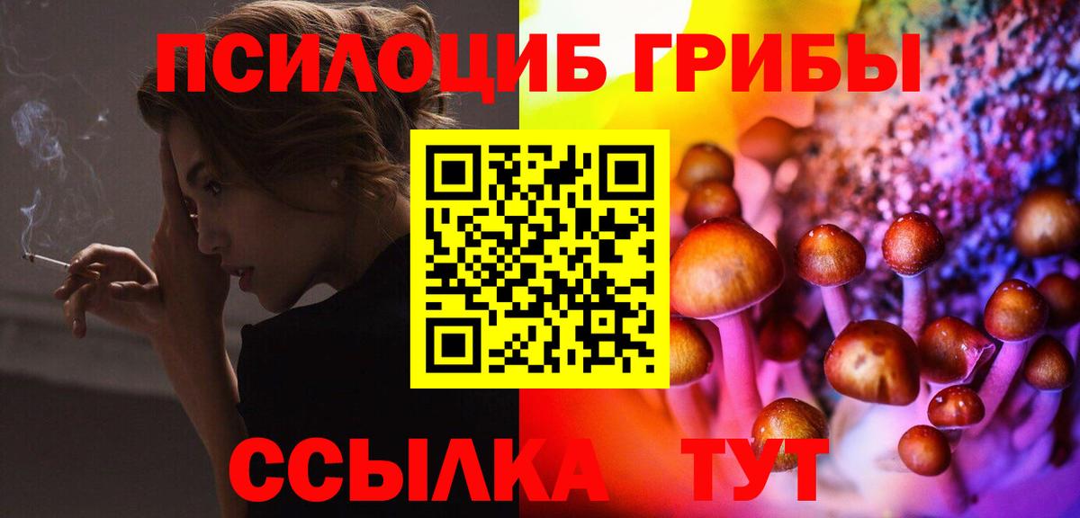 Псилоцибиновые грибы GOLDEN TEACHER Россия